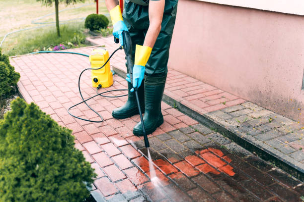 Best Exterior Home Cleaning  in Frostburg, MD