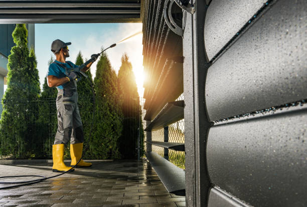 Best Roof Pressure Washing  in Frostburg, MD
