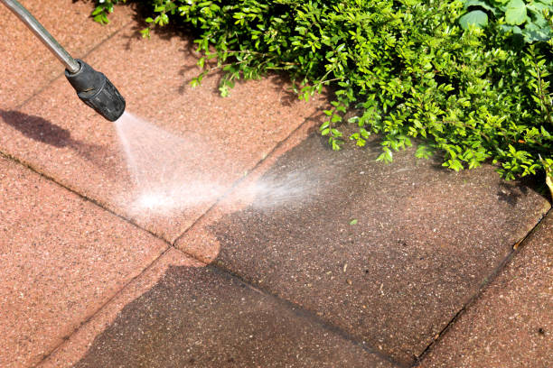 Best Residential Pressure Washing Services  in Frostburg, MD