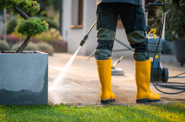 Best Deck Cleaning Services  in Frostburg, MD